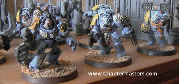 Wolf Guard, Wolf Guard Terminators, Space Wolve Wolf Guard, Space Wolf Wolf Guard, Wolfgurad, 2009 Wolf Guard Terminators, Plastic Wolf Guard, Plastic Wolf Gaurd Terminators